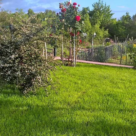 Gulici Διαμέρισμα